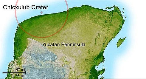 "Gringos excavaran frente a costas yucatecas