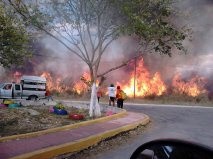 De febrero a abril se han consumido más de 3 mil hectáreas por el fuego