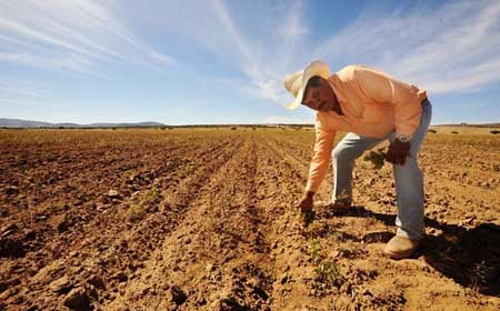 Los hombres del campo le hacen frente a la sequía