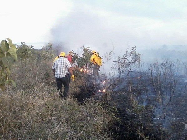 Más de 5 mil hectáreas de potreros se han quemado en Tizimín