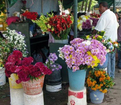 Florerias afirman que el 10 de mayo por caer en domingo afectará en sus ventas 