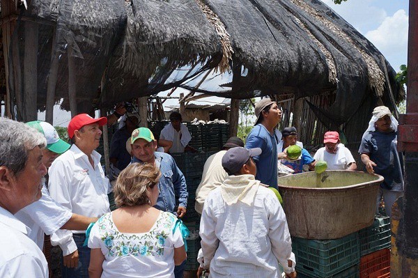 La agricultura es el futuro de Tizimín: Jorge Vales 