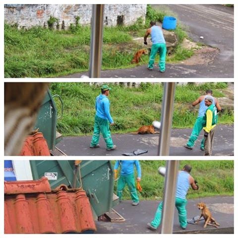 Publican en facebook, imágenes en las que un recolector de basura mata un perro
