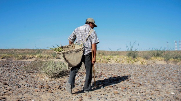 Ejidatarios de Homún se quejan del despojo de 60 hectareas