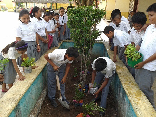 Niños de Tizimín siembran plantas por el día mundial del medio ambiente