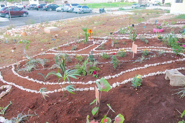 Elaboran jardines en Valladolid por Día del Medio Ambiente