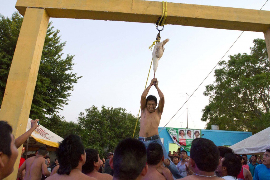 Emiten recomendaciones al presidente municipal de Izamal por sacrificios de animales domésticos en rituales