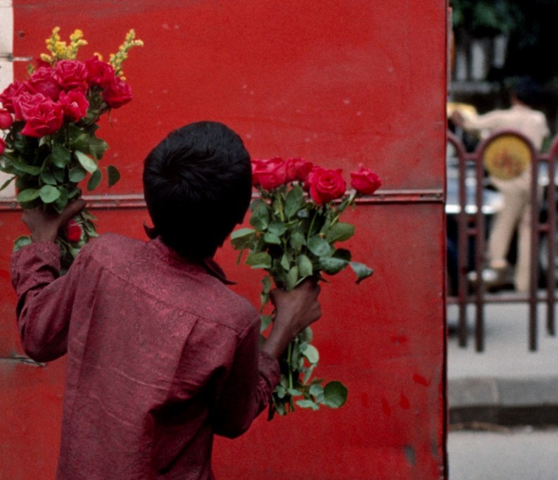 Luis, el pequeño florista