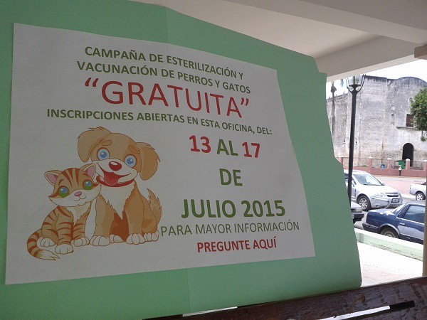Realizarán campaña de esterilización canina y felina en Tizimín
