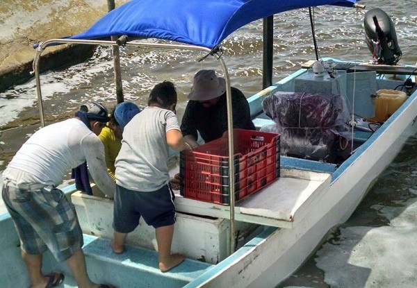 Pescadores de El Cuyo, afectados por marea roja