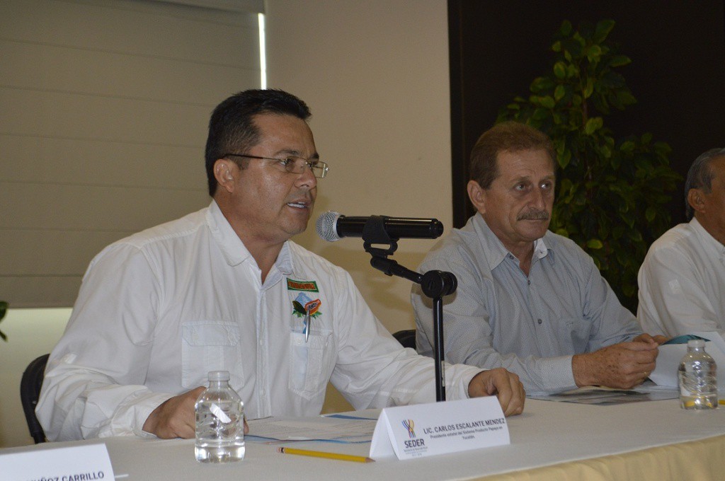 Reunión nacional de papayeros en Yucatán