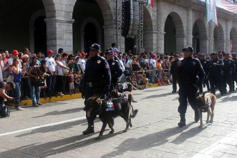 Policía municipal cuenta con cinco agentes caninos