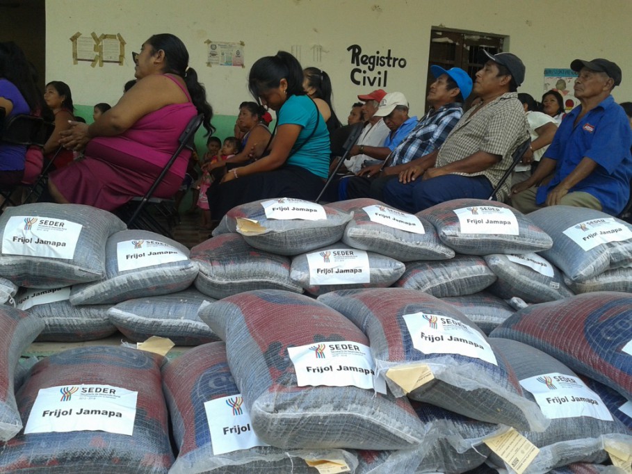 Distribuyen frijol Jamapa en comisarías de Tizimín     