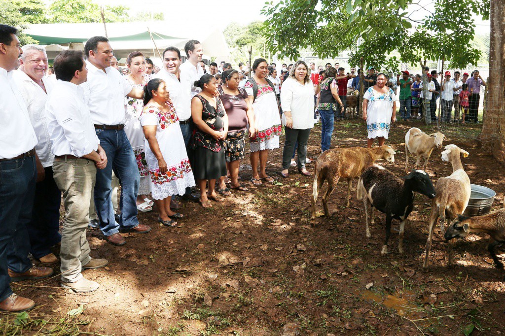 Entregan frijol Jamapa a familias de Yaxcabá