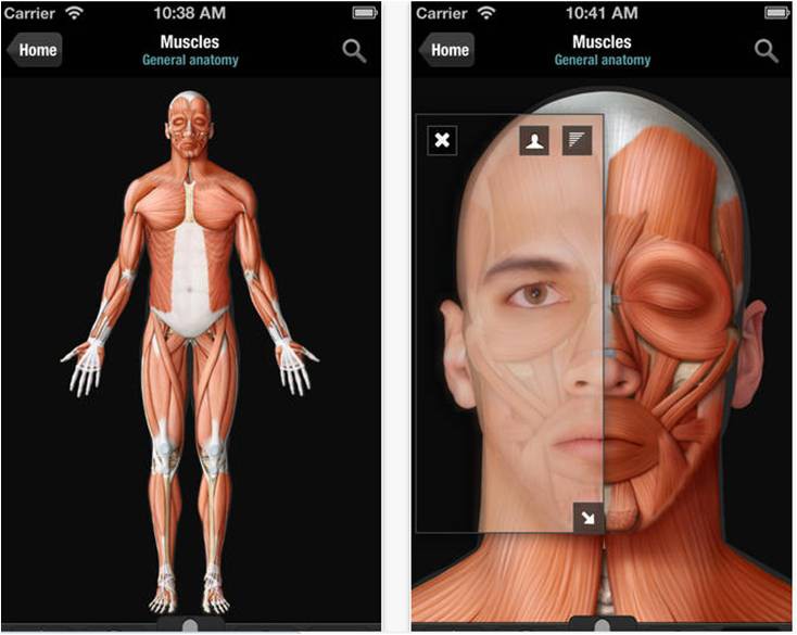 The Human Body, app que permite la inspección cercana de los órganos