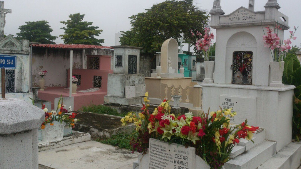 Un día “lleno de vida” en el Cementerio General