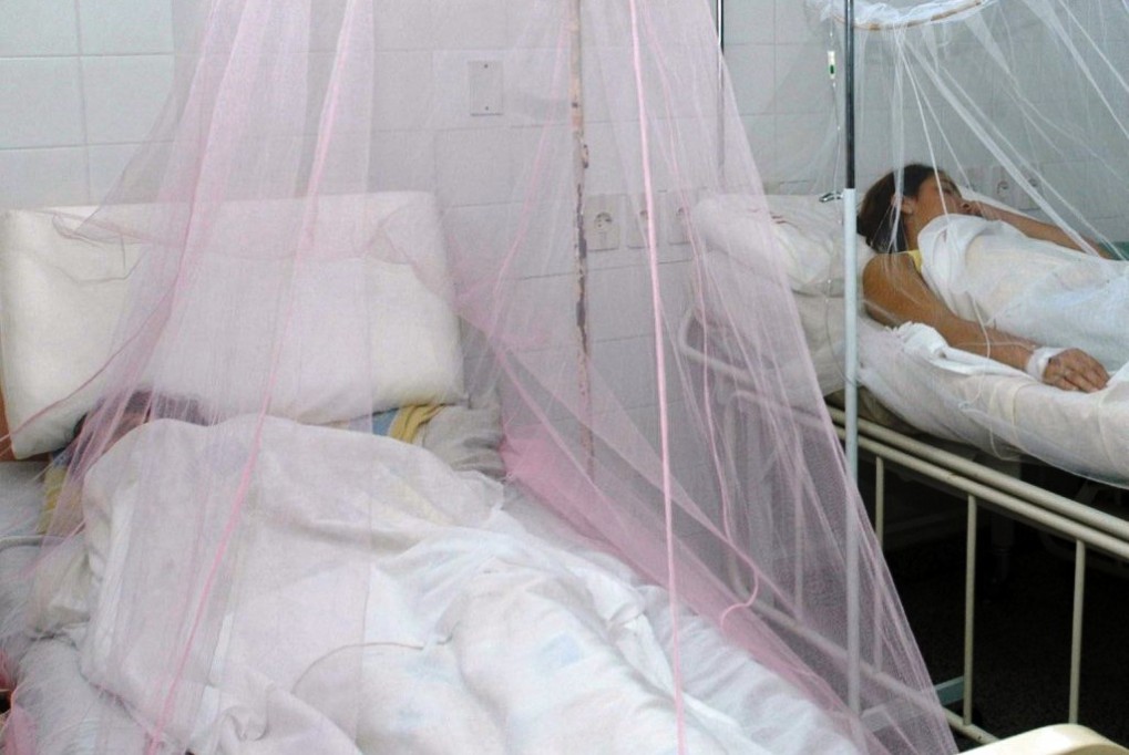 Disminuyen los casos de dengue en Yucatán