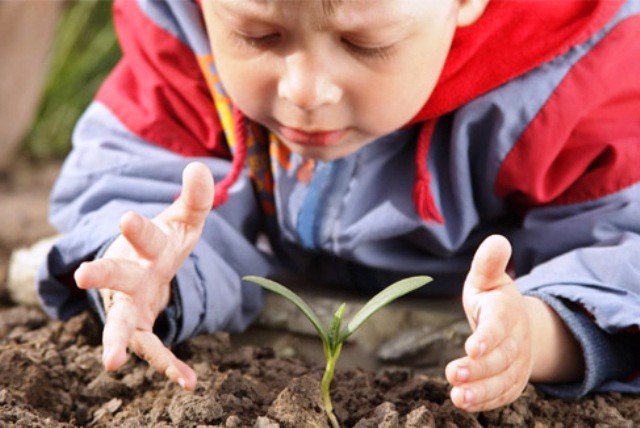 Anuncian diplomado para niños sobre el medio ambiente