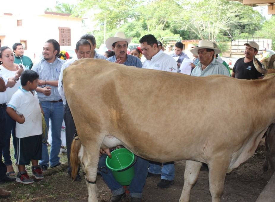 Respalda Sagarpa al sector lechero