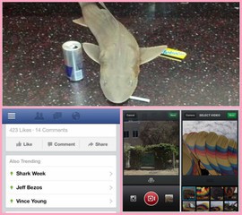 Tiburón aparece en el metro de Nueva York y los usuarios lo etiquetan como #SharkWeek