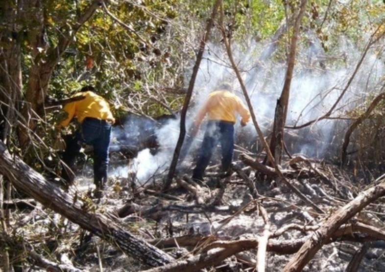 Incendio en El Palmar consumió 80 hectáreas