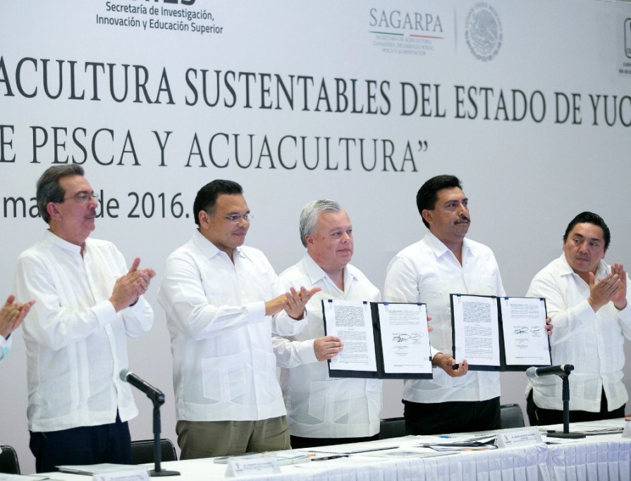 Habrá pesca responsable en Yucatán