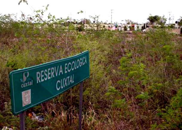 Ejidatarios denuncian abandono en le Reserva de Cuxtal