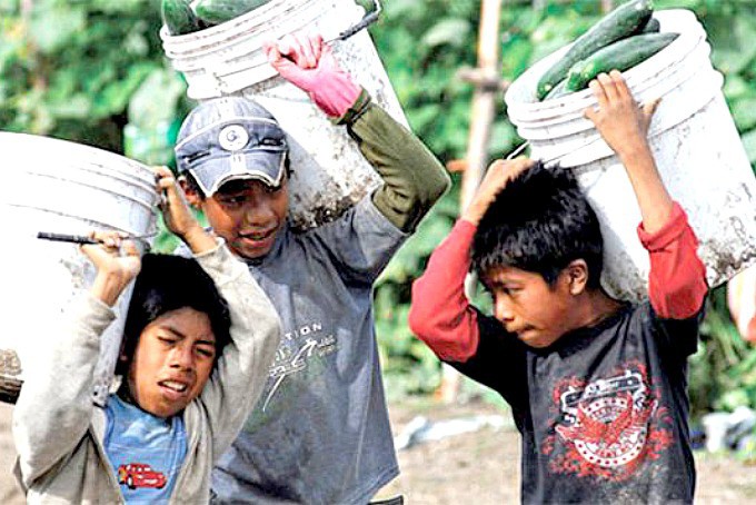 Más de 40 mil menores trabajan en Yucatán