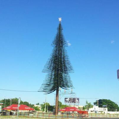 Este viernes encenderán el árbol navideño de Coca-Cola en Plaza Sendero