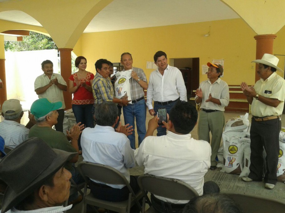 Distribuyen maíz certificado a agricultores de Tizimín