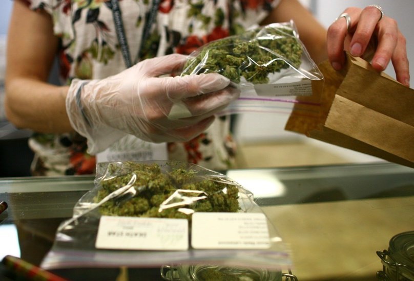 Presentan 200 solicitudes para uso lúdico de marihuana