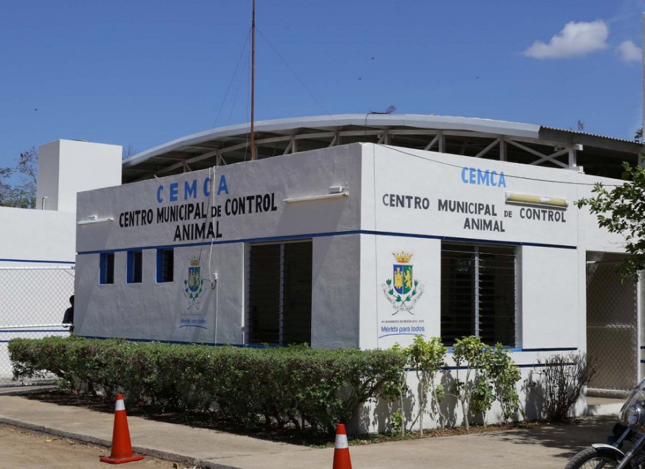 Sacrifican al 90% de animales en el Cemca Sacrifican al 90% de animales en el Cemca
