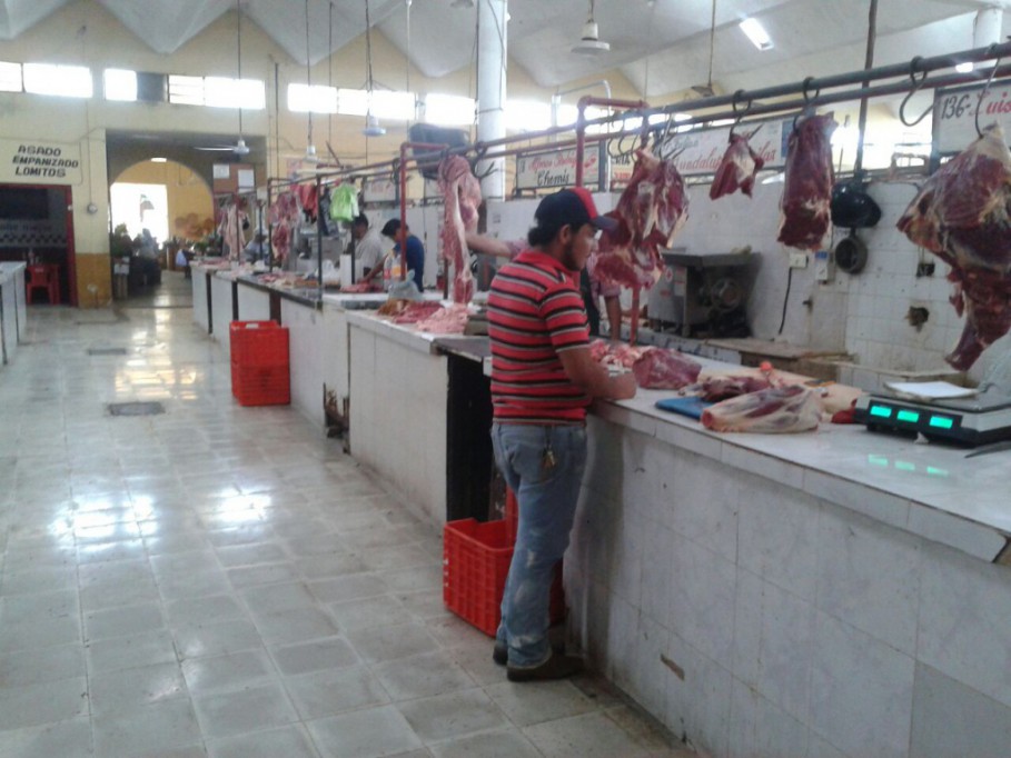 Infestado de cucarachas el mercado de Valladolid