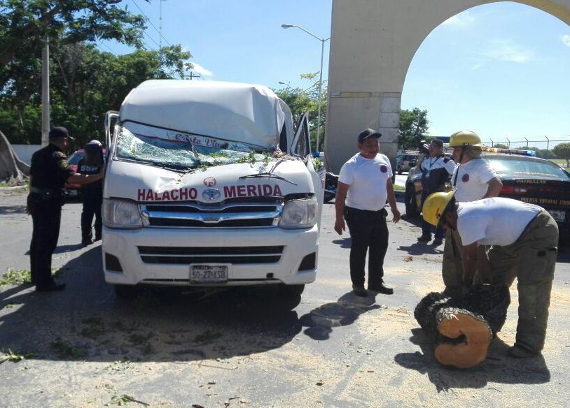 Árbol destroza combi de pasajeros