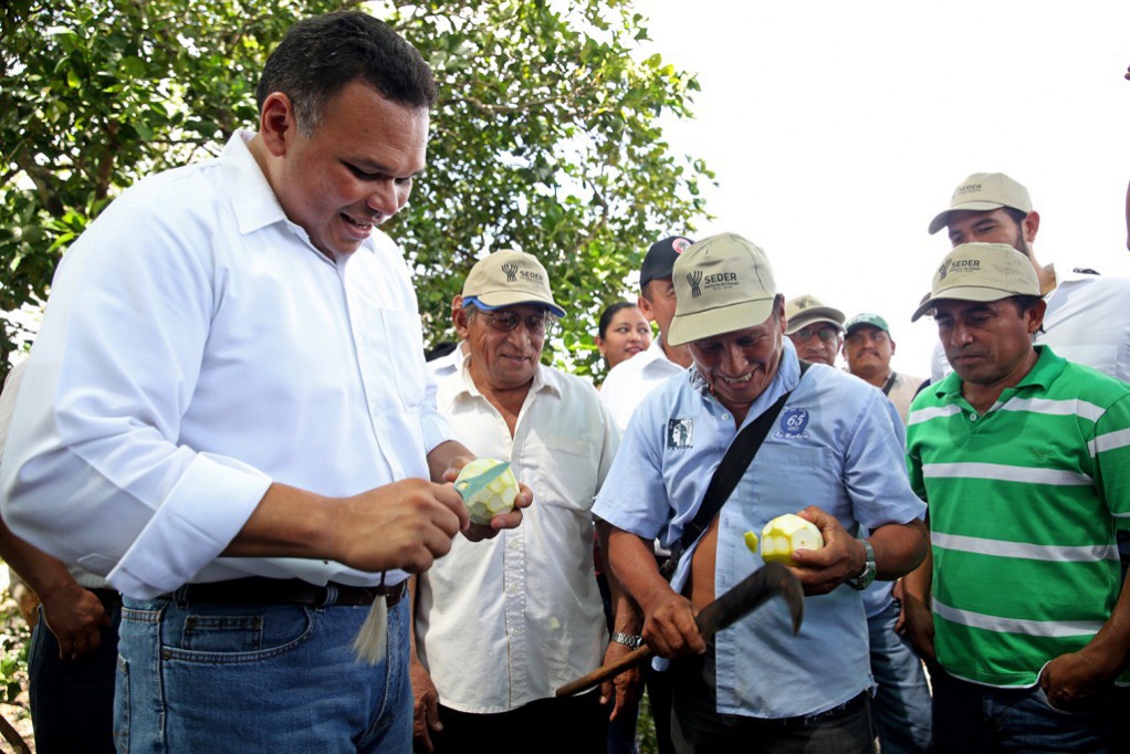 Respaldan la producción de cítricos en Yucatán