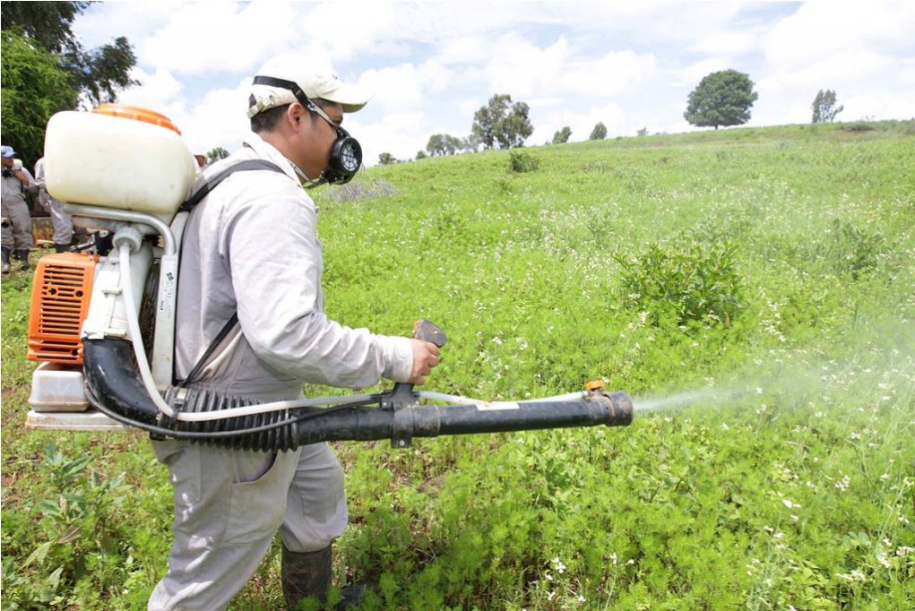 Evitarán el uso de pesticidas en el campo