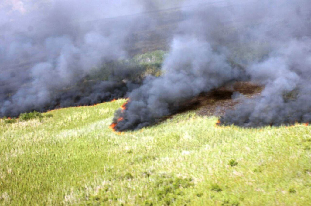 Captura de cangrejo, posible causa de incendio en Dzilam
