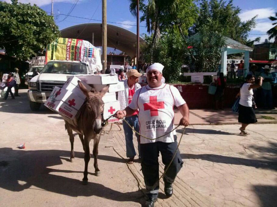 5 de diciembre día mundial del voluntariado