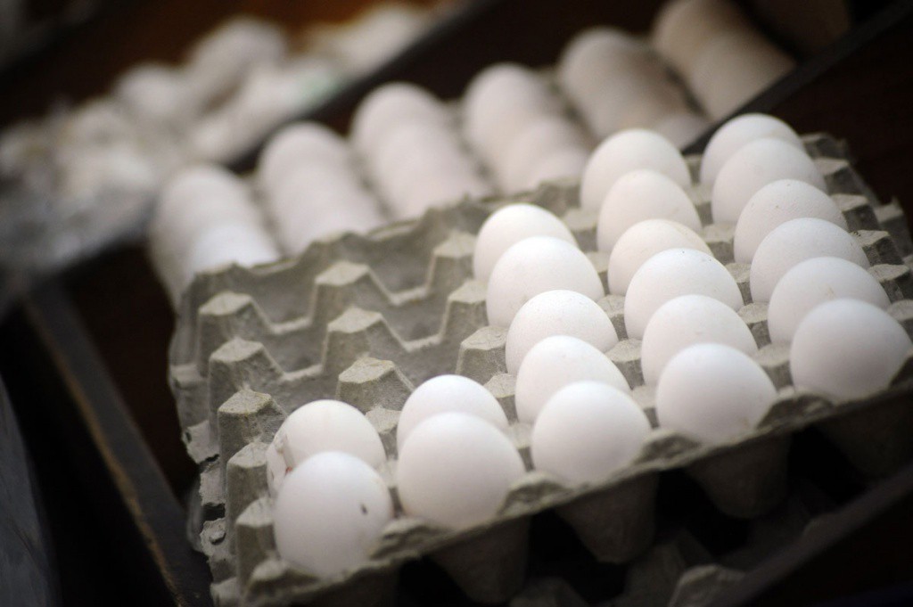 Yucatán 6° lugar en producción de huevo en México