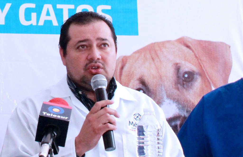 Una decena de meridanos bajo tratamiento antirrábico Una decena de meridanos bajo tratamiento antirrábico