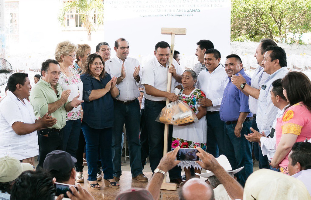 Semilla mejorada, para el campo yucateco