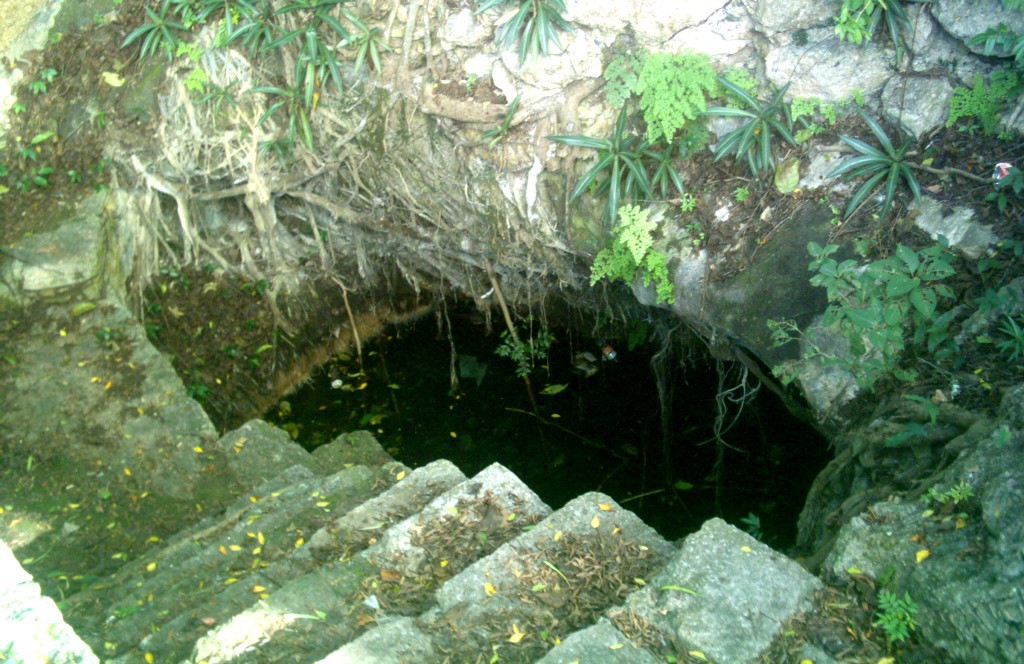 Proponen rescatar cenote en Cholul