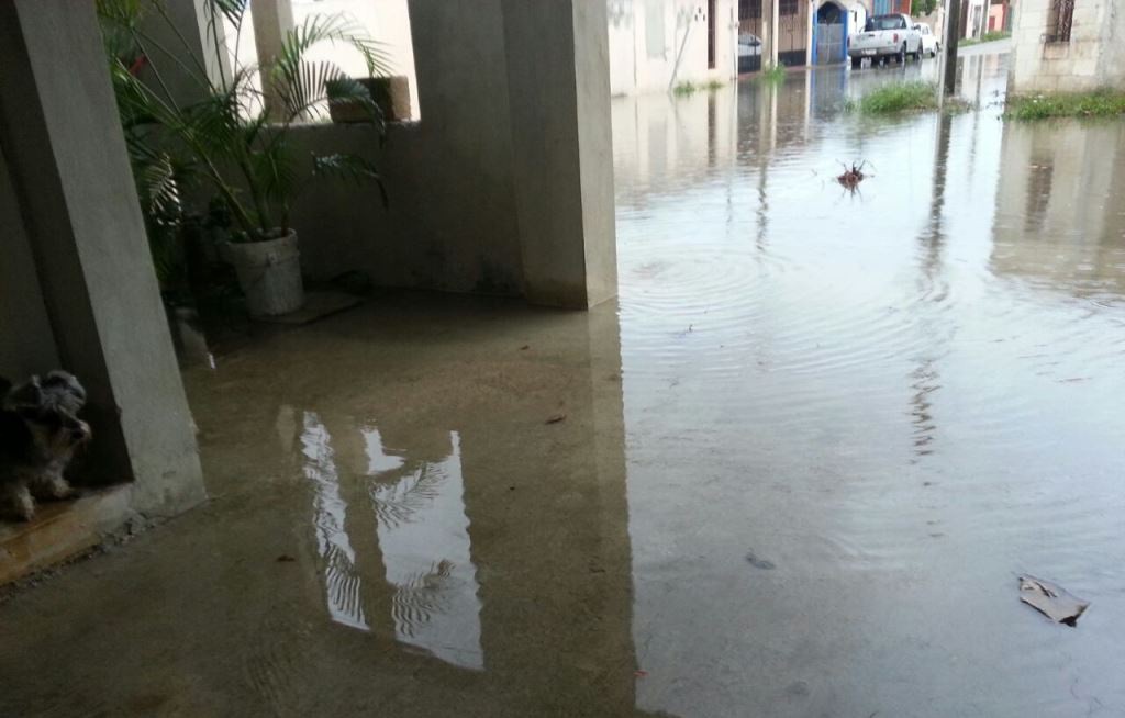 Vecina de Vergel pide un pozo pluvial para su calle