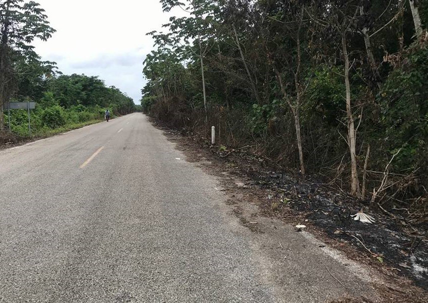Supervisan limpieza de caminos que conectan comisarias de Tizimín