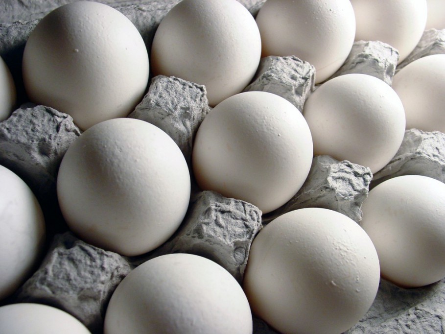 Yucatán, quinto lugar en producción de huevo