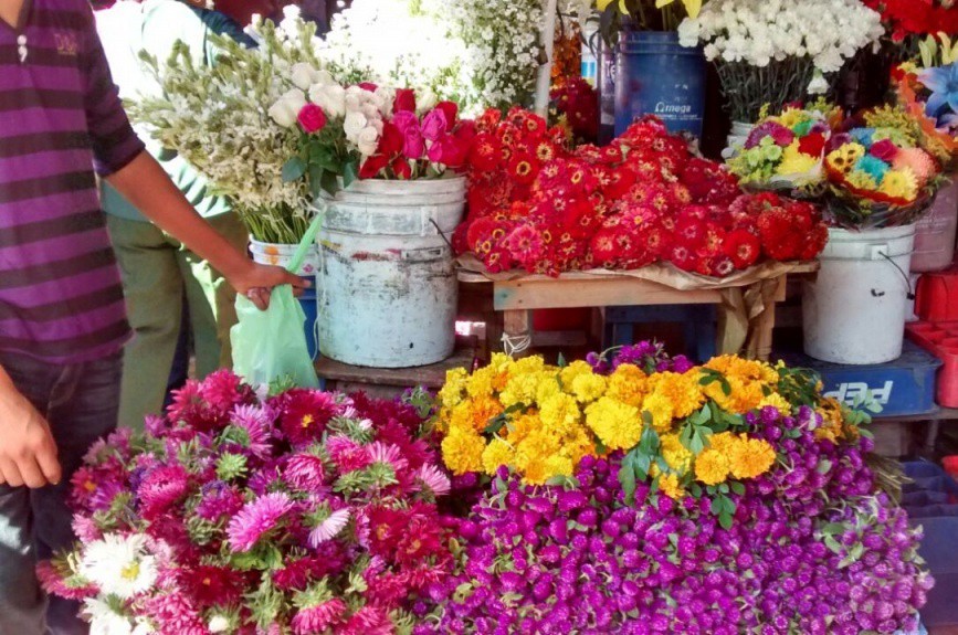Baja la venta de flores durante Hanal Pixán