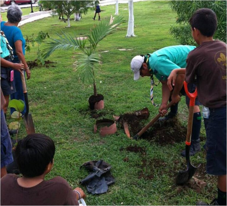 El Ayuntamiento suma esfuerzos para reforestar Mérida