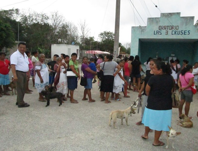 Vacunan a perros y gatos en Espita