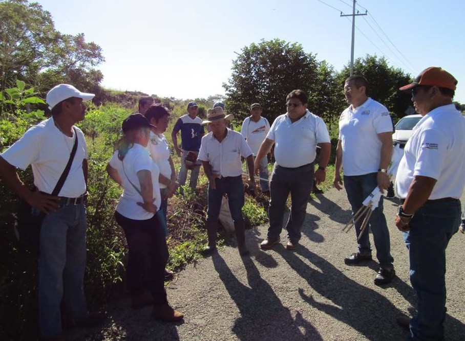 Alcaldes de Sucilá y Panabá limpian carretera estatal