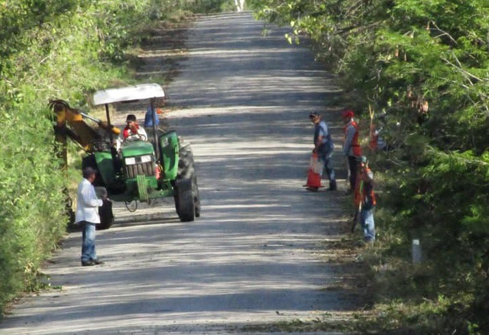 Despejan de maleza carretera Panabá – San Felipe 